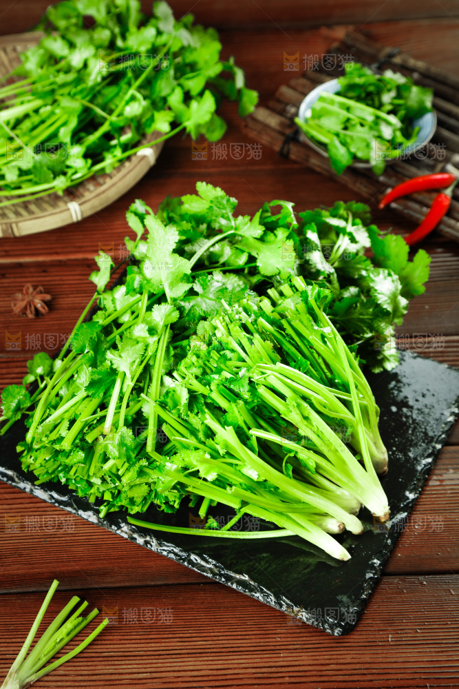 一堆四季香菜