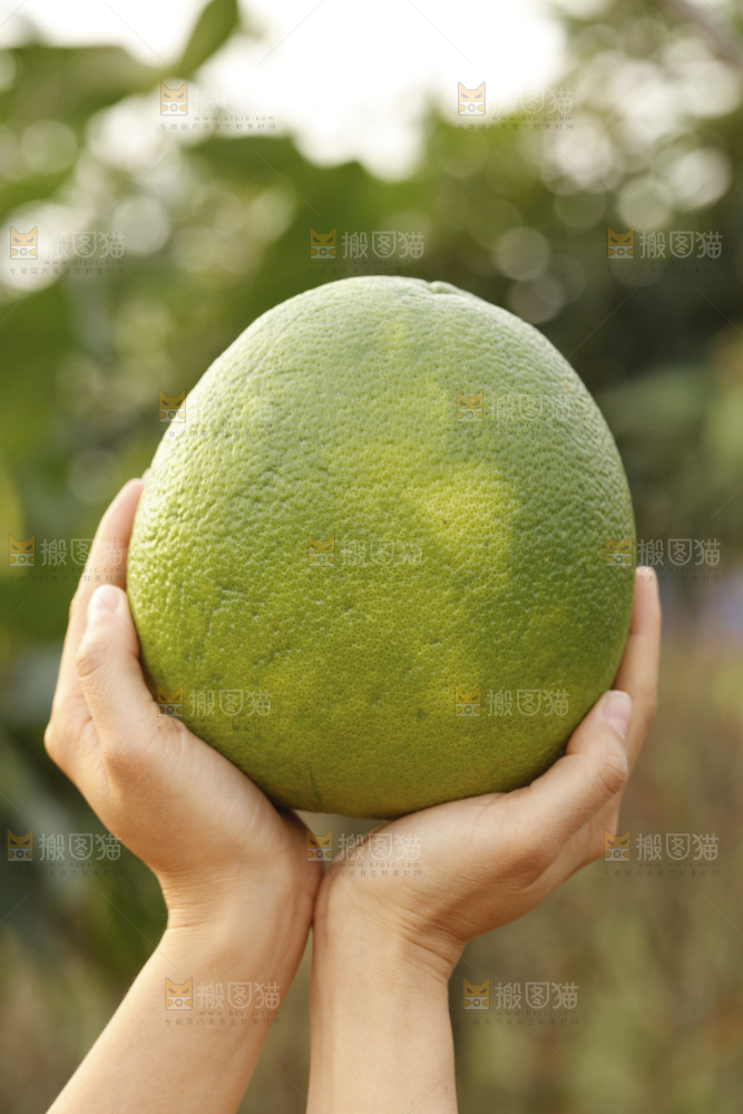 手里拿着泰国青柚