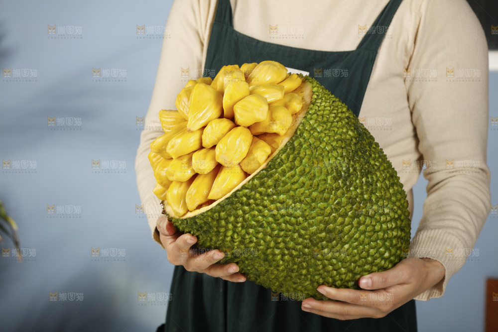 手里抱着海南黄肉菠萝蜜