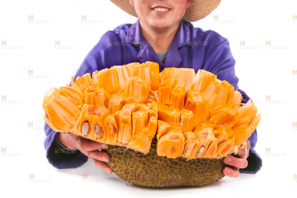 手里捧着红肉菠萝蜜