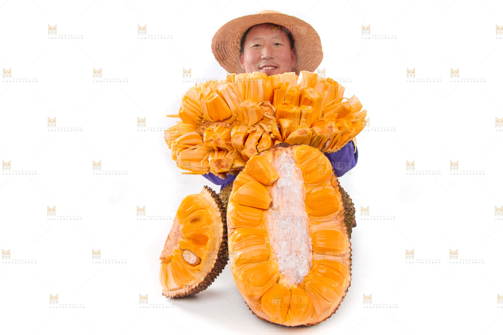 手里捧着红肉菠萝蜜