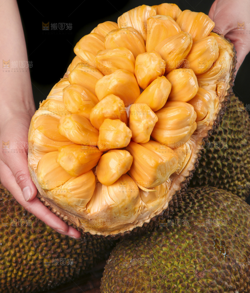手里捧着红肉菠萝蜜