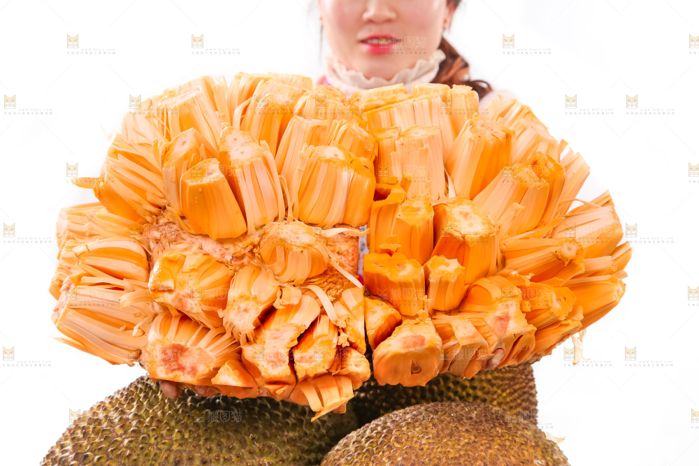 手里捧着红肉菠萝蜜