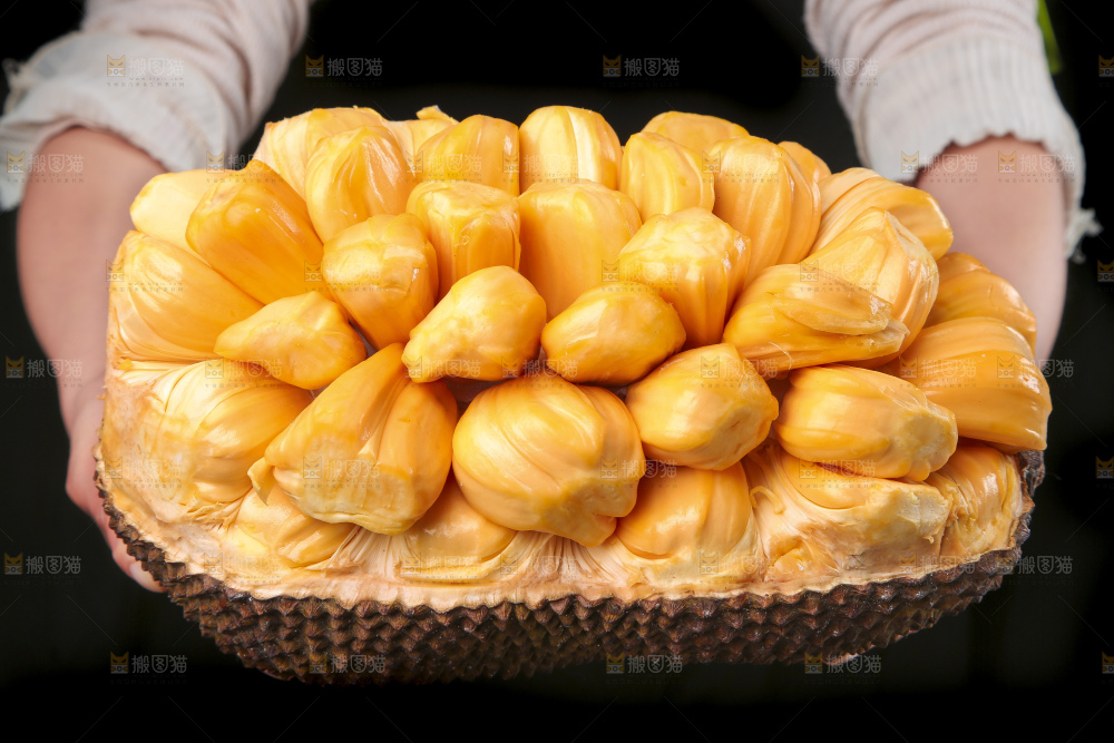 手里捧着红肉菠萝蜜