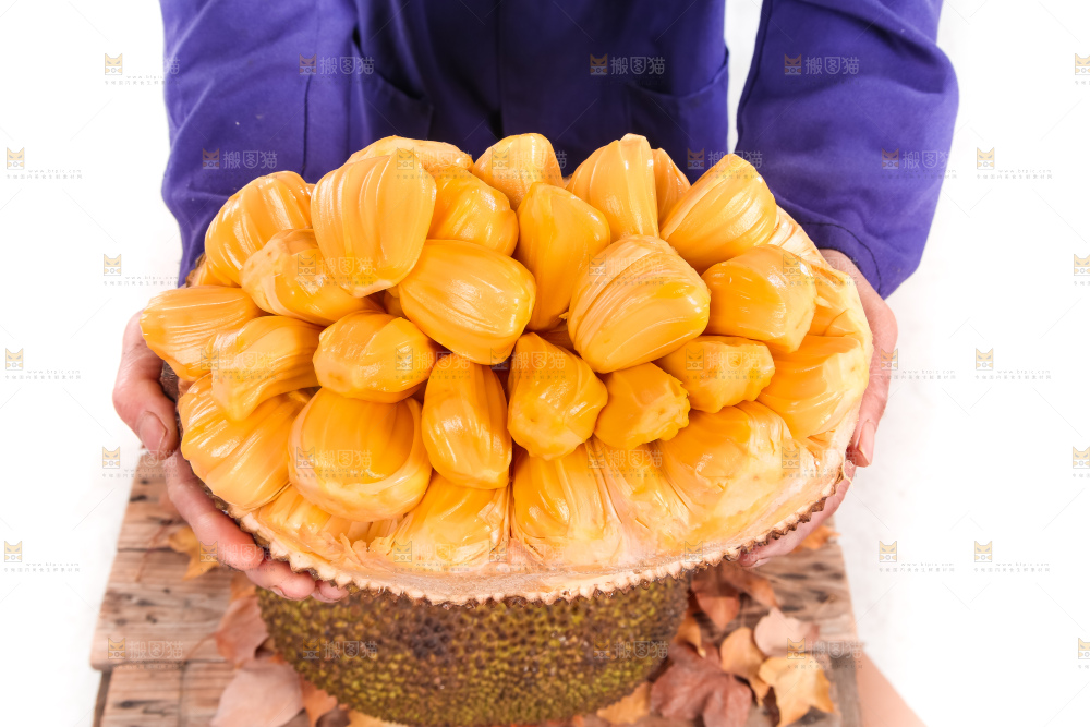 手里捧着泰国红肉菠萝蜜