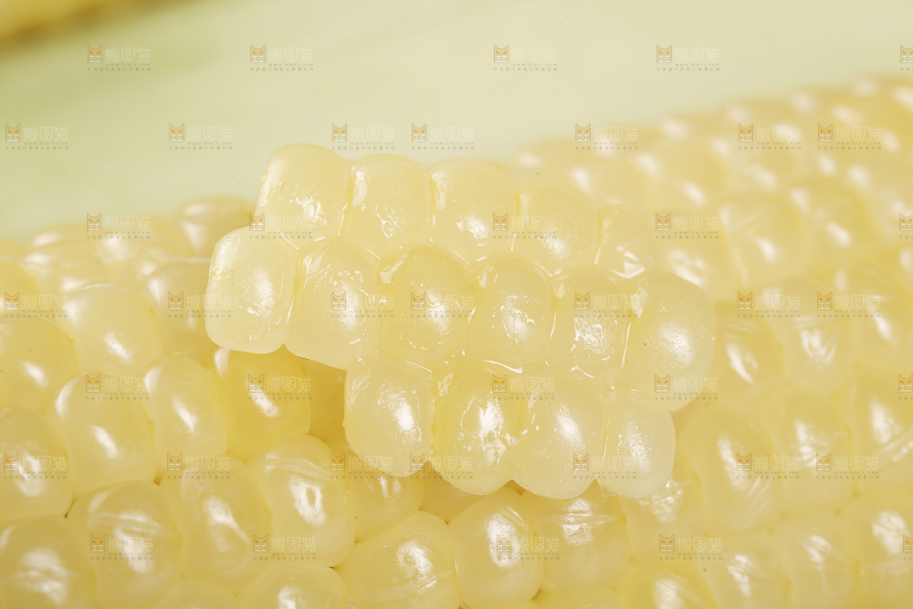 新鲜白糯玉米