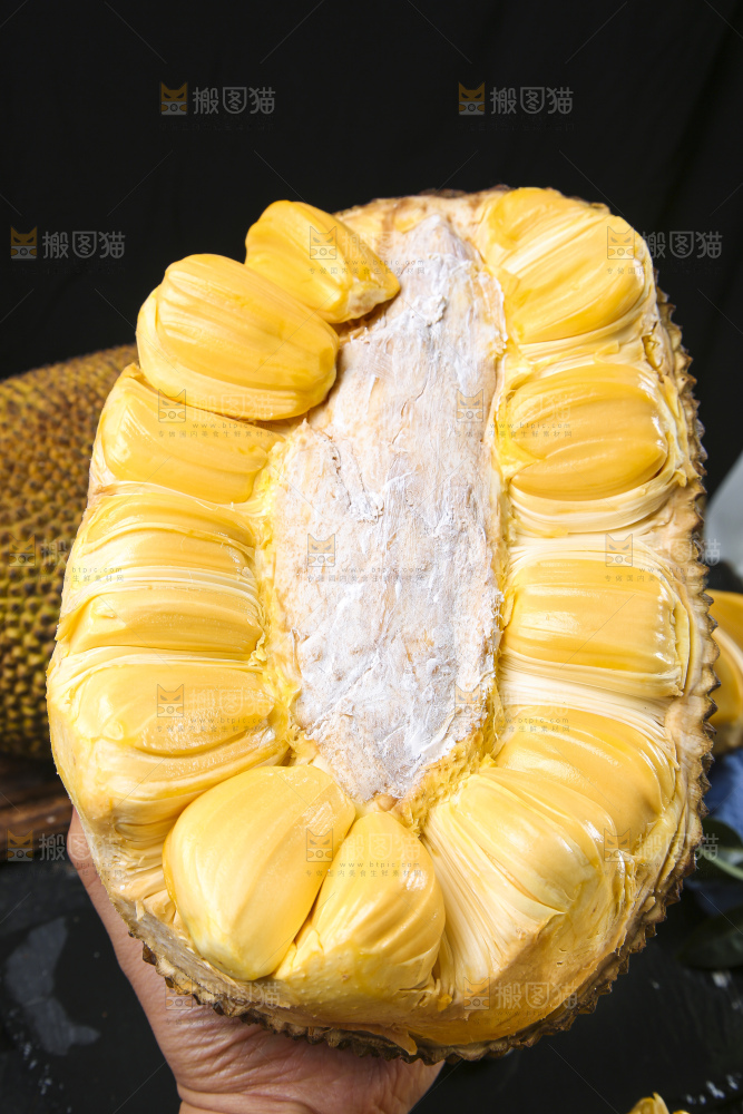 手里拿着半边黄肉菠萝蜜