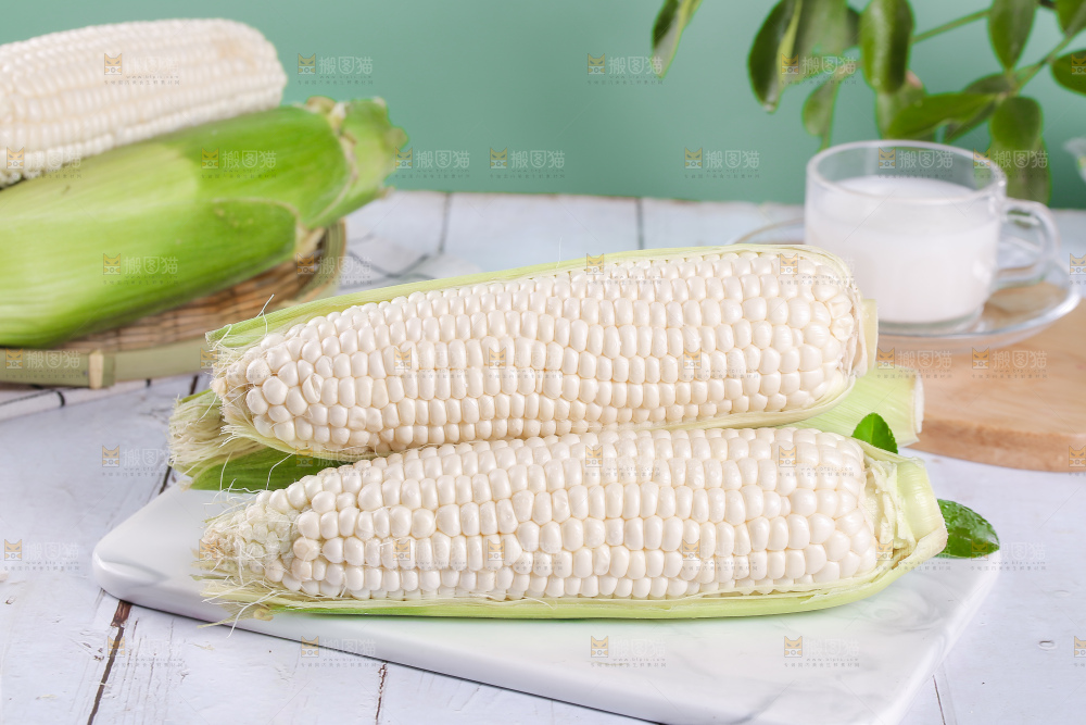 一堆白糯玉米棒
