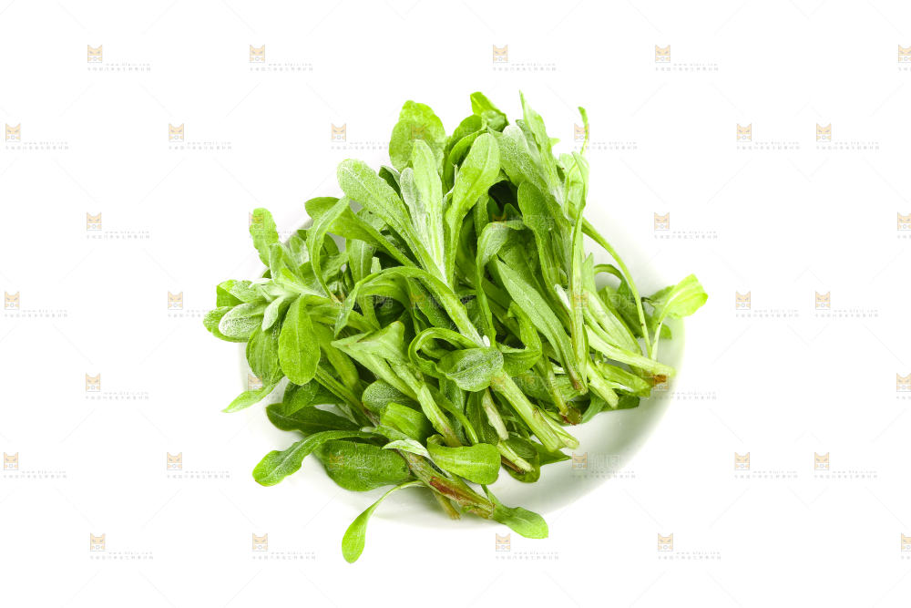 一盘鼠曲草摆放在白底上