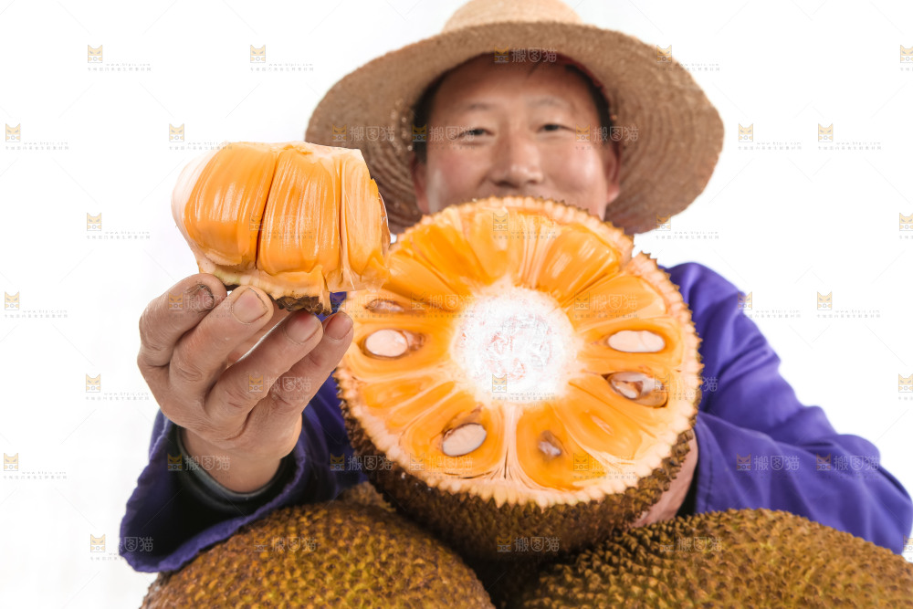 手里拿着红肉菠萝蜜