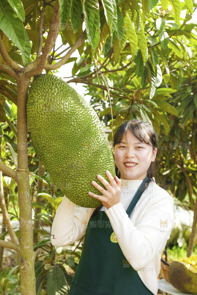 手里抱着海南菠萝蜜