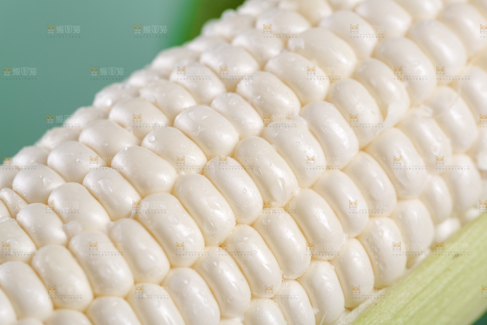 新鲜的白糯玉米棒