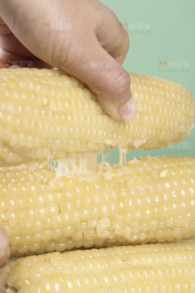 手里拿着东北白糯玉米