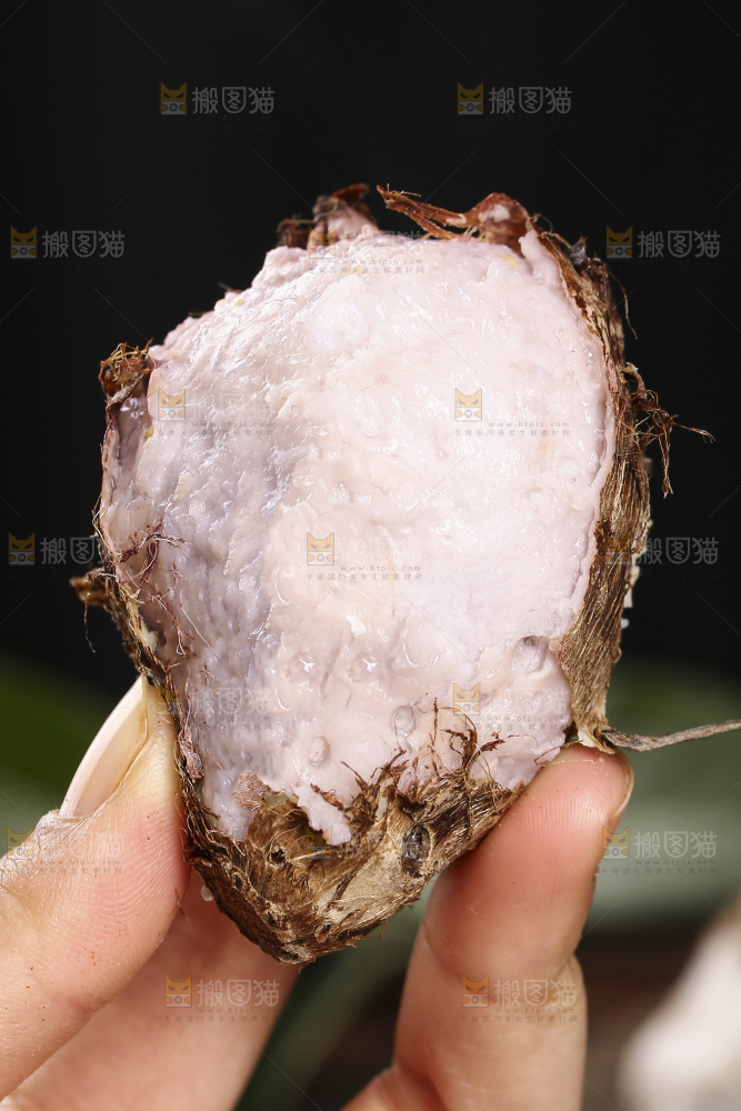 手里拿着熟的红芽芋