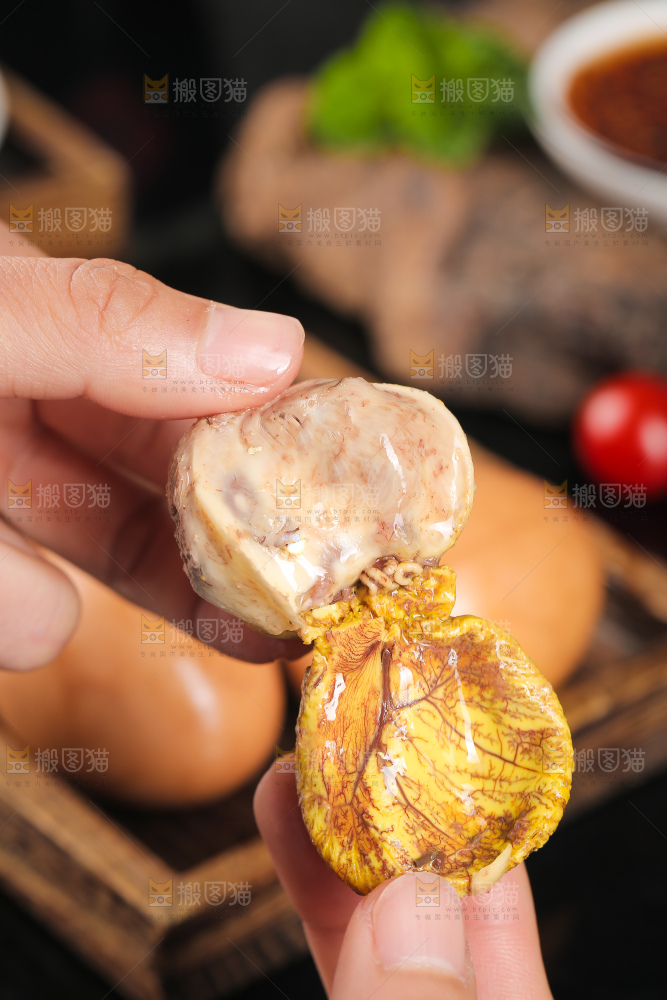 手里拿着凤凰蛋