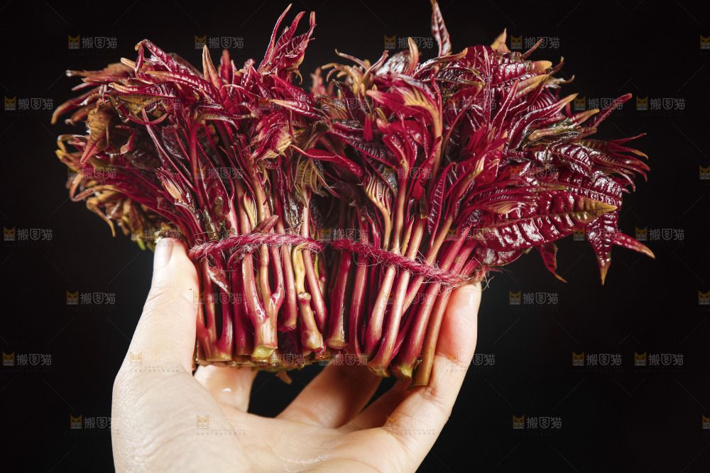 手里拿着香椿芽