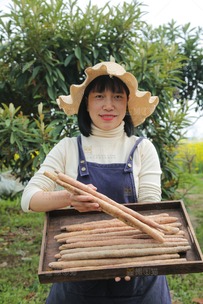 手里端着一盘铁杆山药