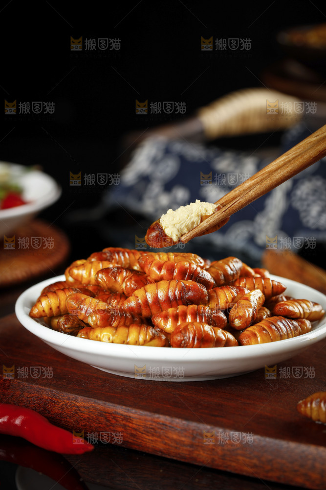 筷子上夹着黄金蛹