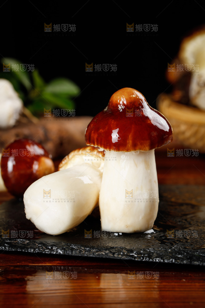 黑底上放着赤茸菇
