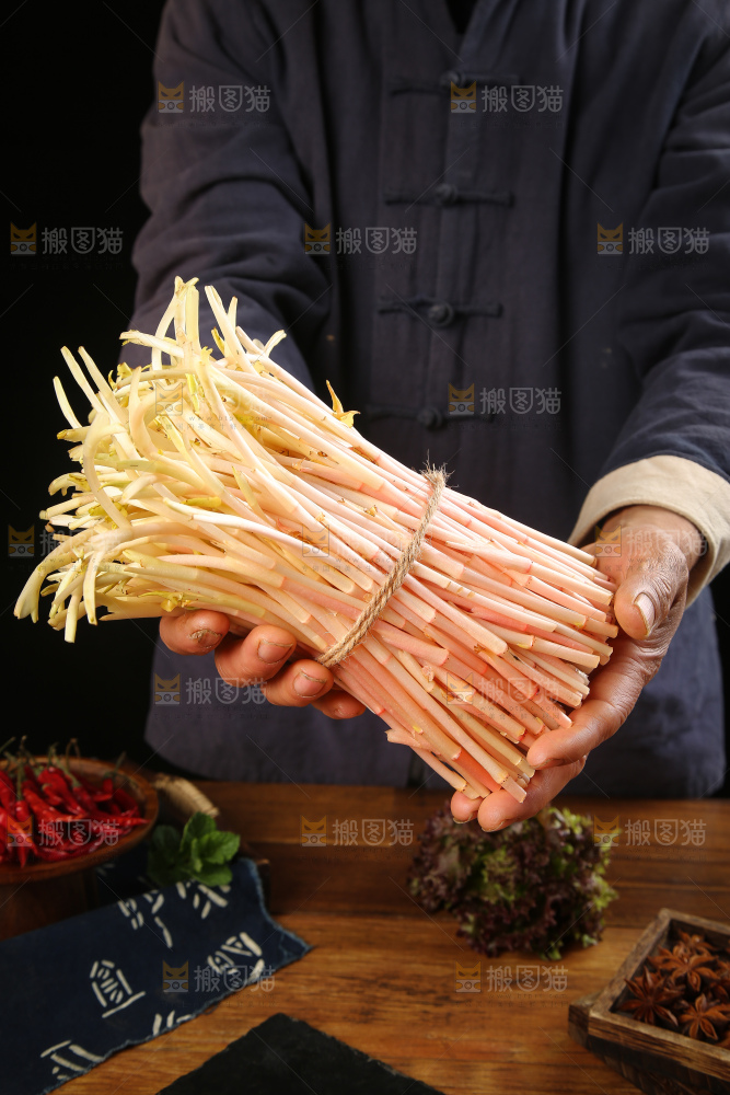手里拿着鱼腥草嫩芽
