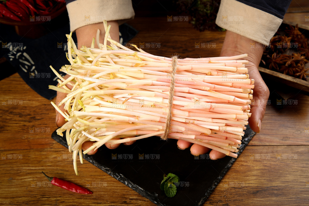 手里拿着鱼腥草嫩芽