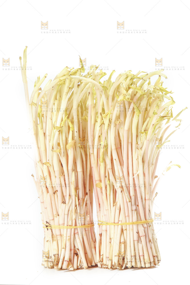白底上放着折耳根嫩芽