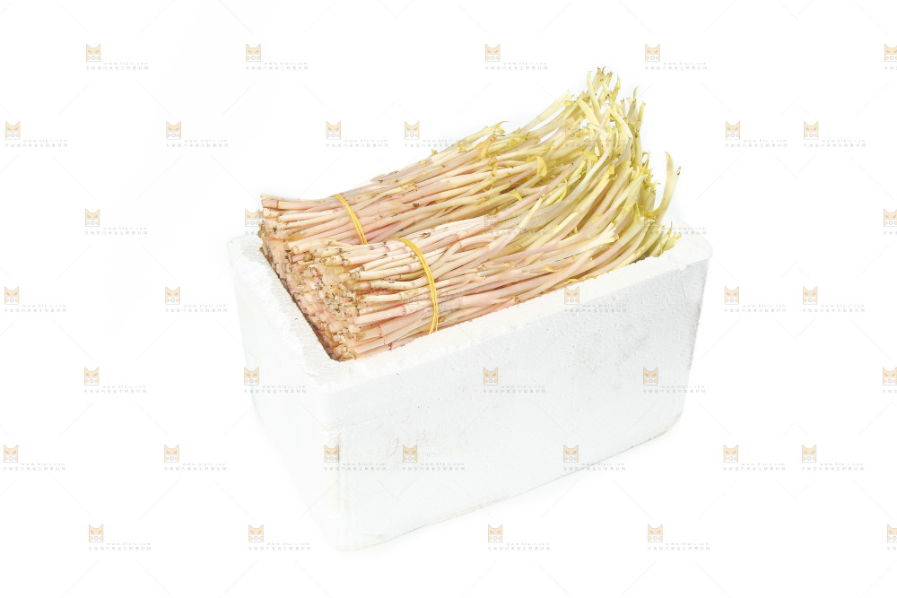 一箱新鲜鱼腥草嫩芽