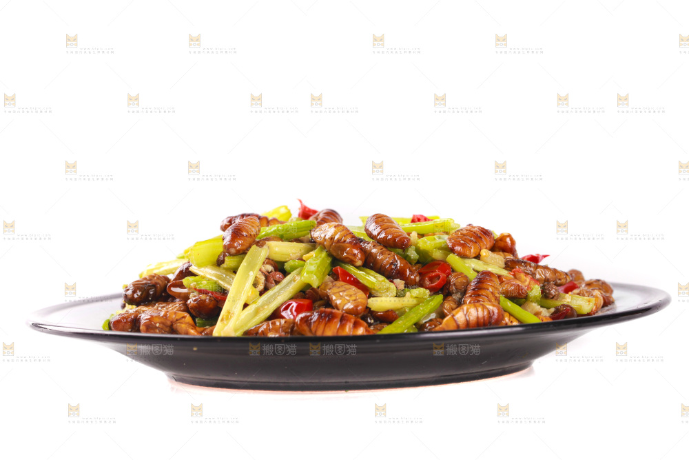 一盘芹菜炒蚕蛹