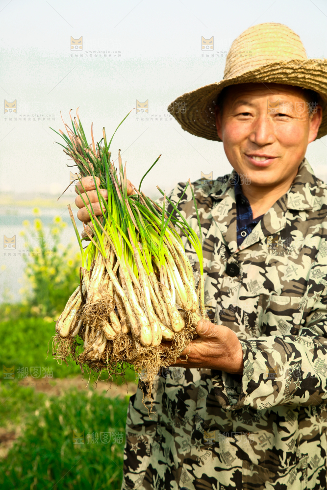 手里拿着荞头