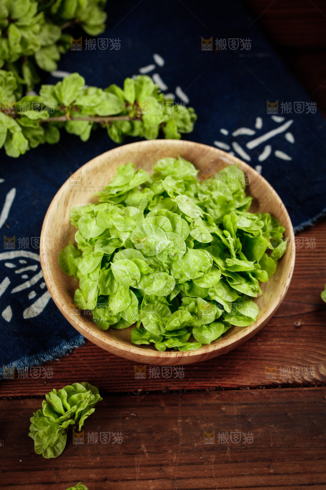 一盘榆钱