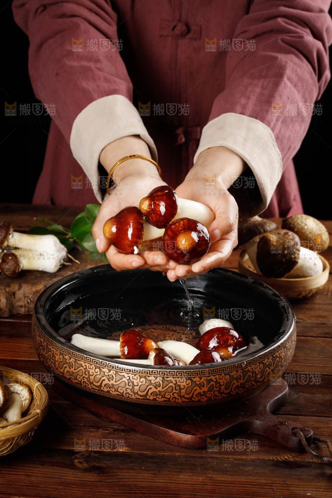 手里捧着赤松茸