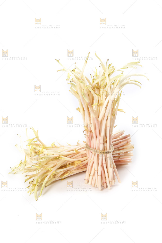白底上的鱼腥草嫩芽