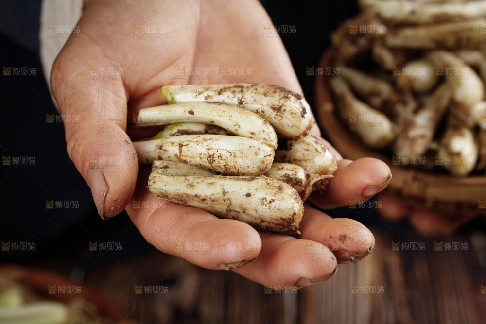 手里拿着荞头