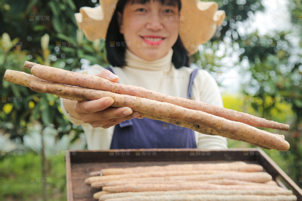 手里端着一盘铁棍山药