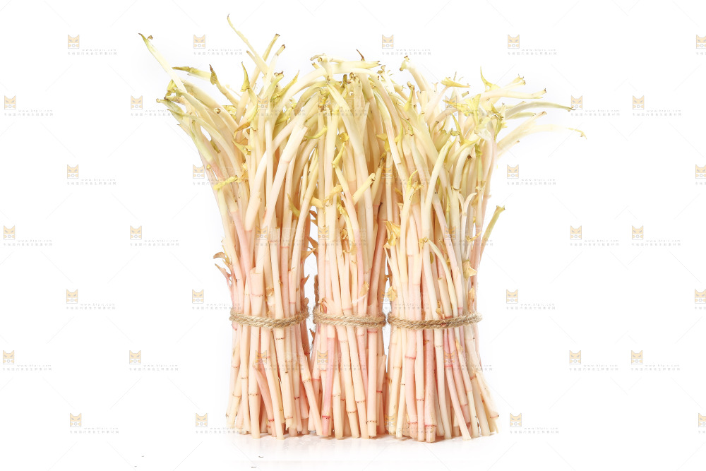 白底上的鱼腥草嫩芽