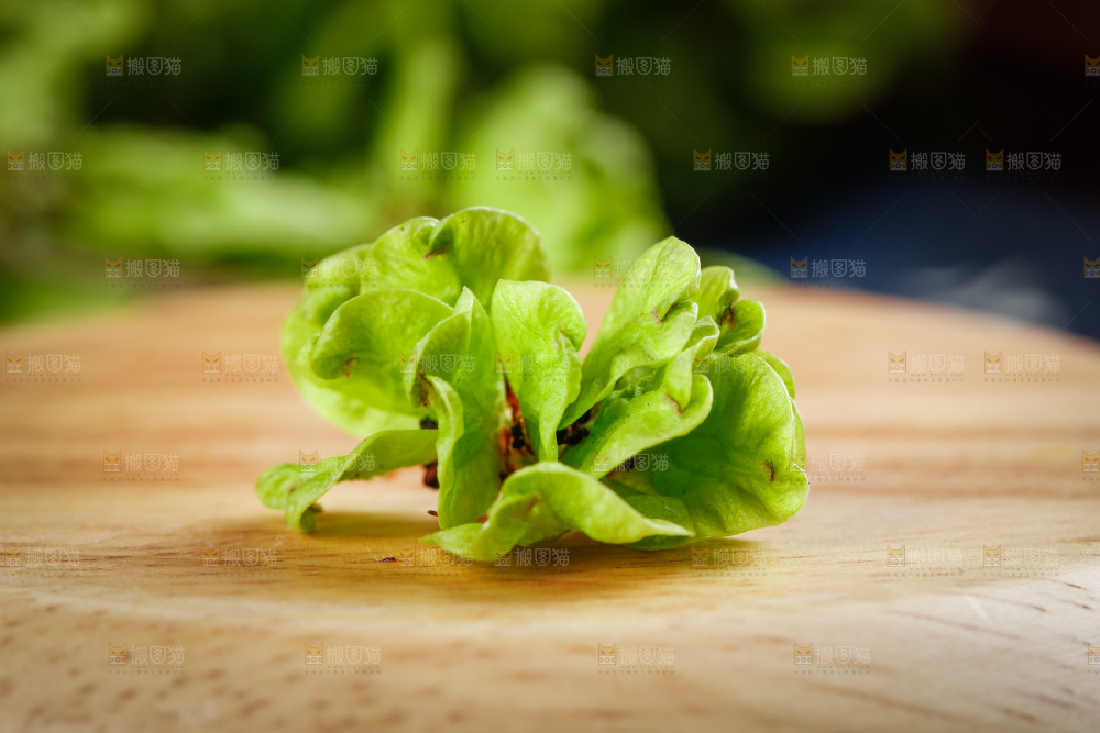 木底上的榆钱儿