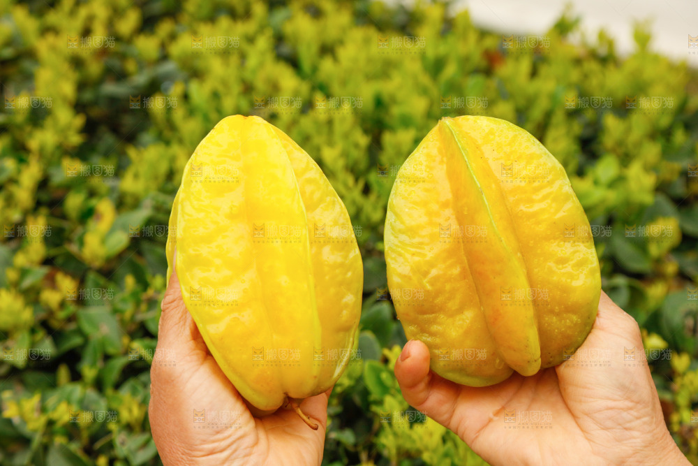 手里拿着杨桃