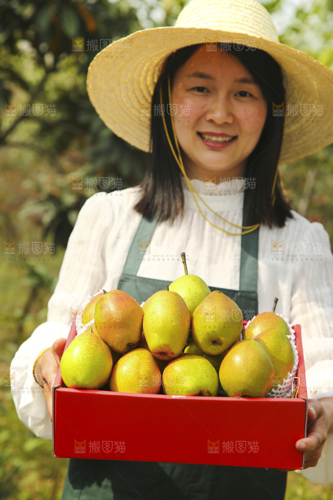 一箱红香酥梨