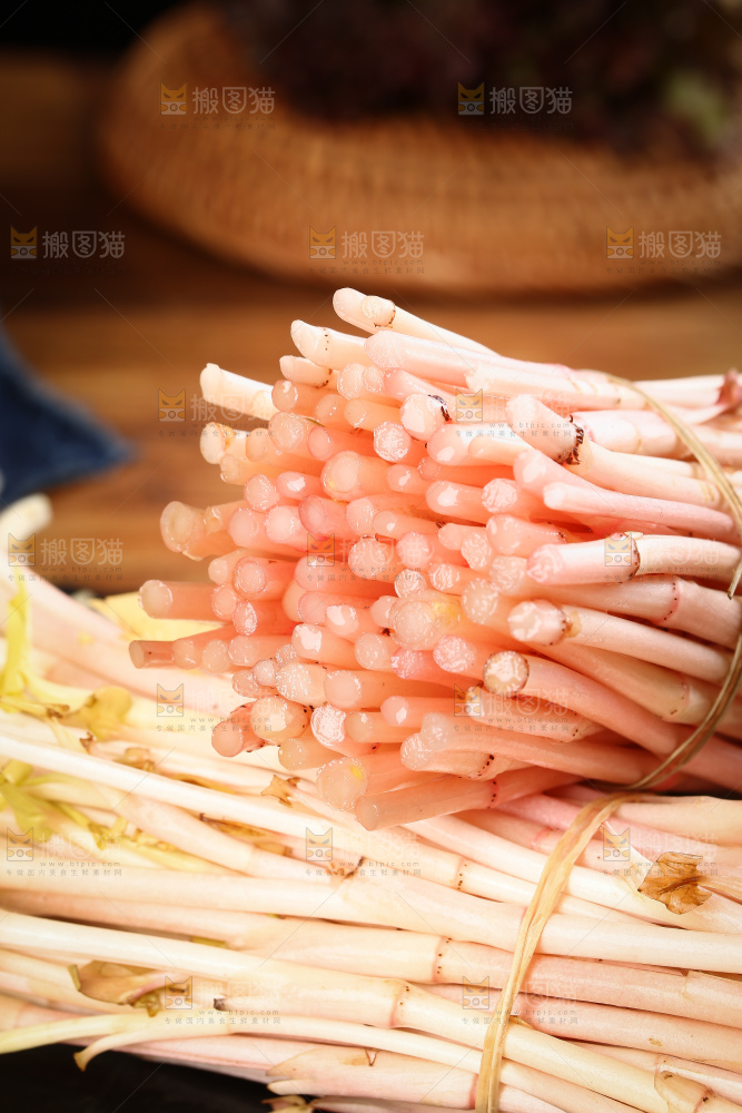 一堆鱼腥草嫩芽