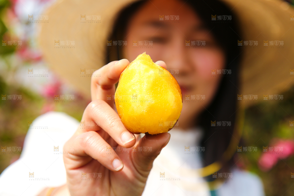 手里拿着桃驳李果肉