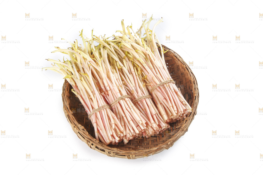 一篮折耳根嫩芽