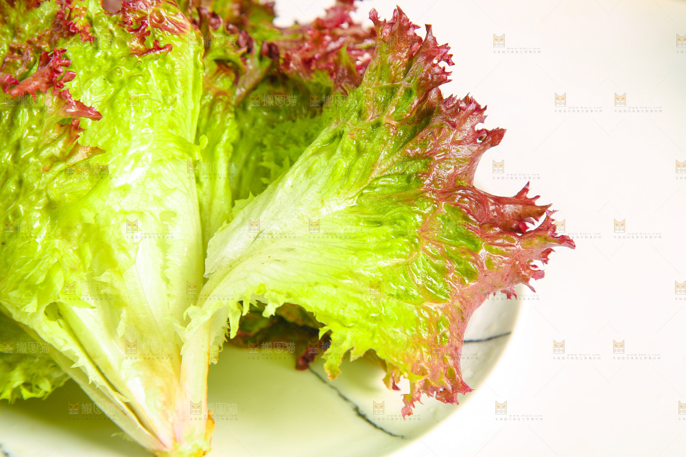 一盘红叶生菜