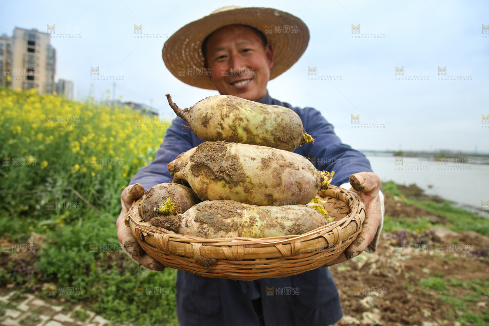 手里端着一篮冰激凌水果萝卜