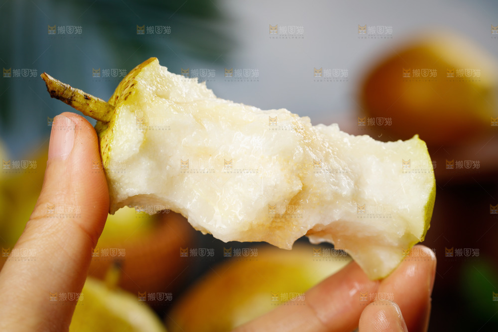 手里拿着红酥梨
