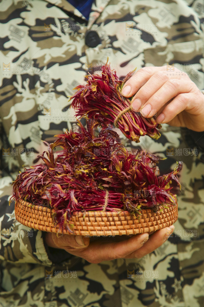 手里端着一篮红油香椿芽