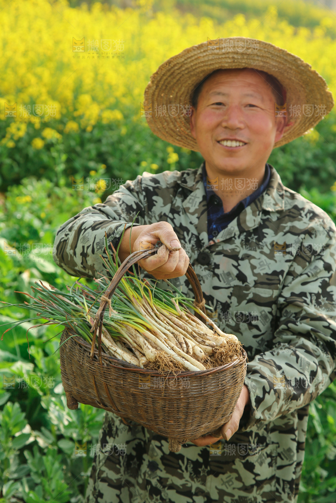 一篓带叶荞头