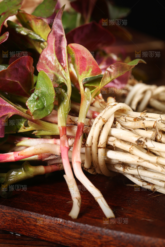 木底上放着折耳根