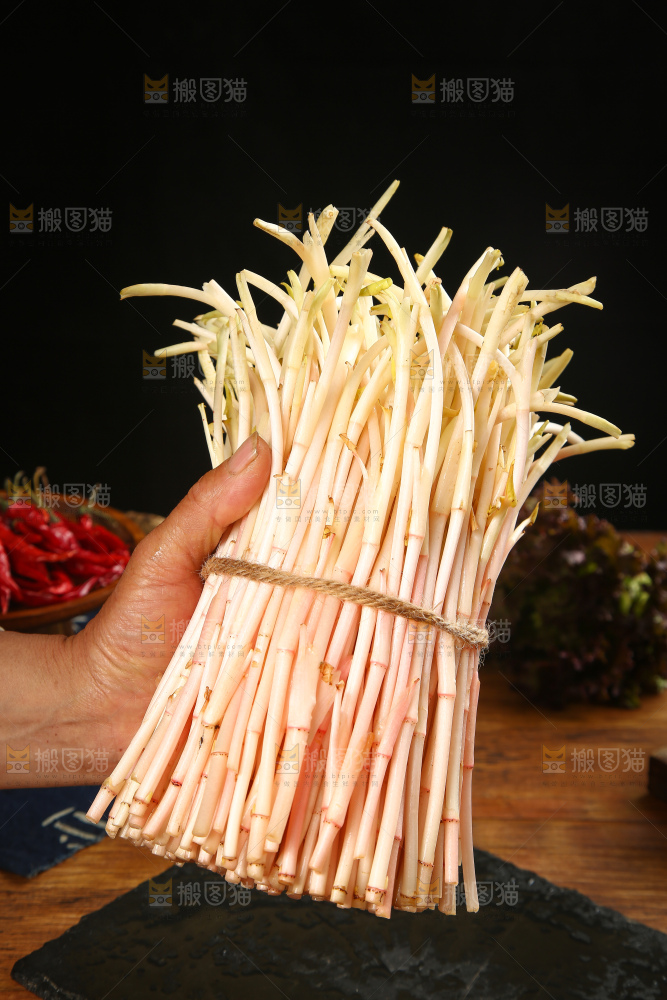 手里拿着鱼腥草嫩芽