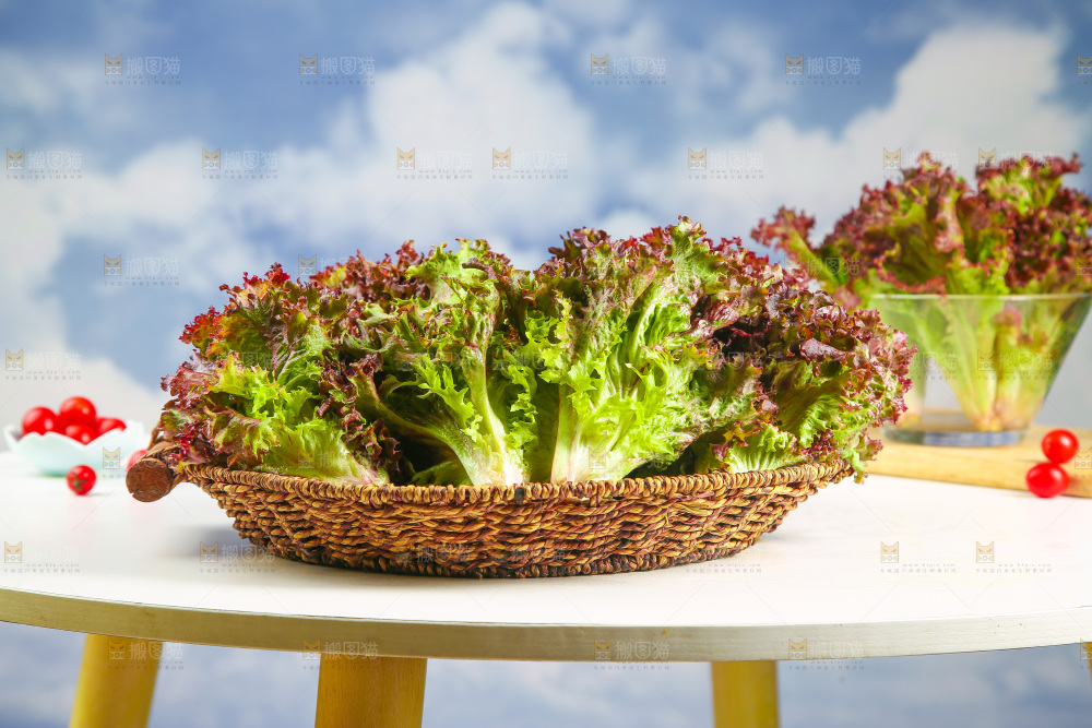 一篮紫叶生菜