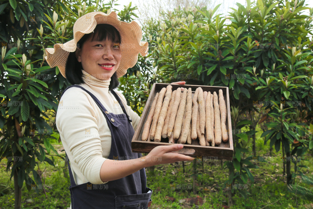 手里端着一盘铁杆山药